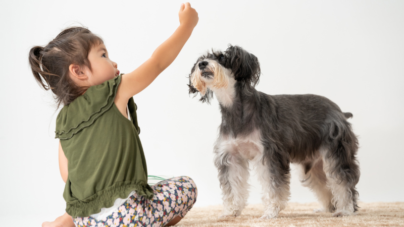 お子様やペット